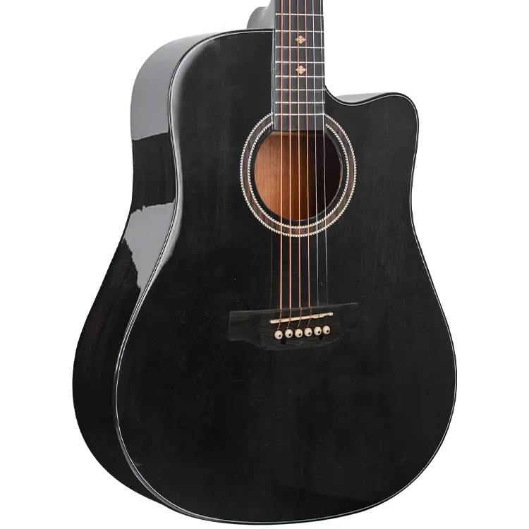 acoustic guitar