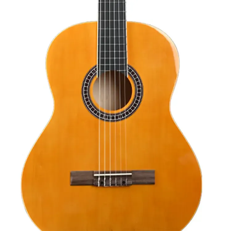 FANTE Support Concert 39 Inch Basswood body linden back Classical Guitar