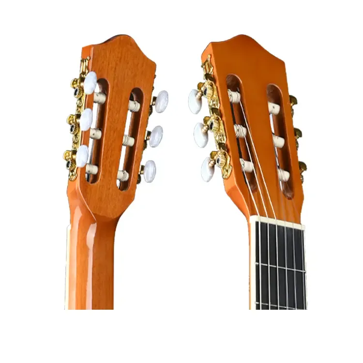 FANTE Support Concert 39 Inch Basswood body linden back Classical Guitar