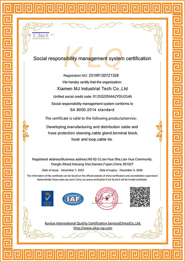 trách nhiệm xã hội