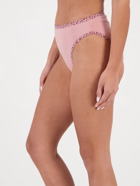 High Leg Briefs