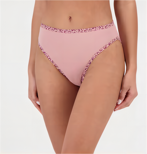 High Leg Briefs
