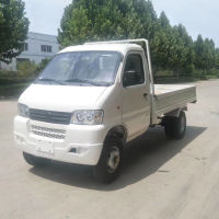 Fully Electric Small Transport Vans