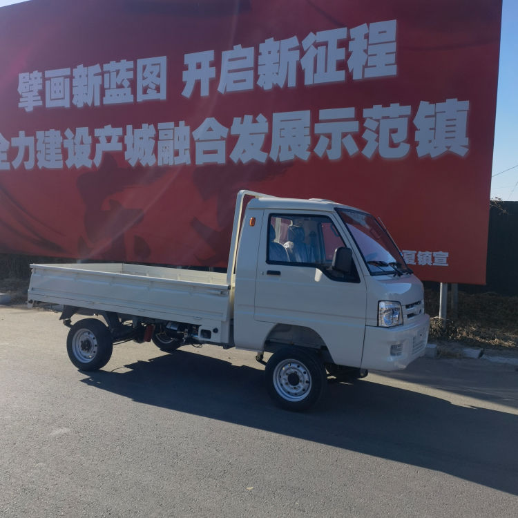 Fully Electric Small Transport Vans