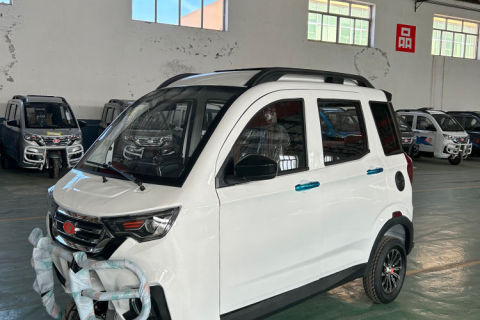 wagons-and-passenger-three-wheeled-full-passenger-cars Fuel and electric, both customizable