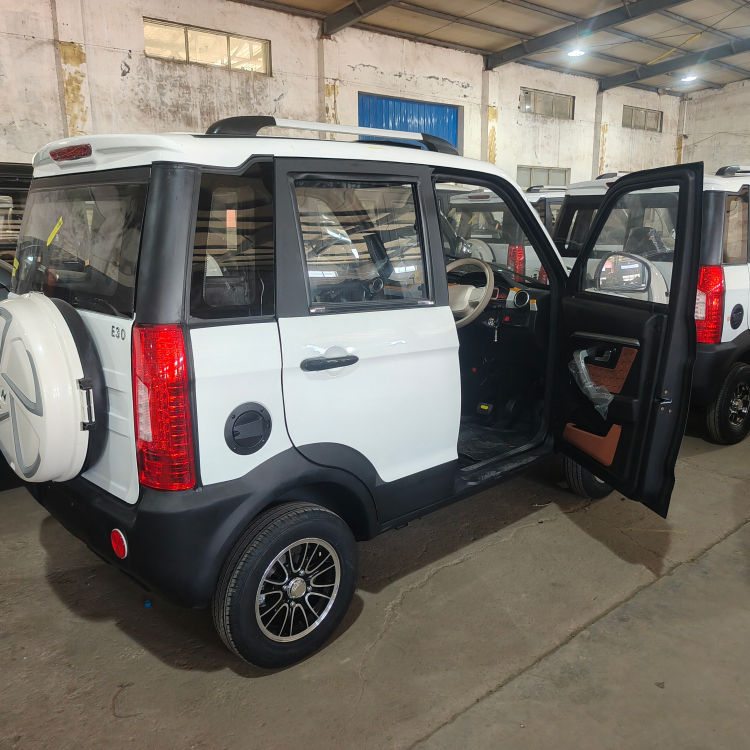 Low-speed mini four-wheeled electric passenger vehicle