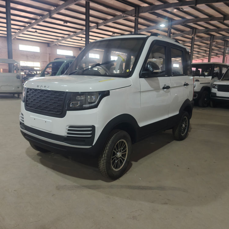 Four-wheel electric micro sedan