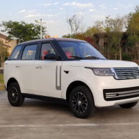 Four-wheel electric micro sedan