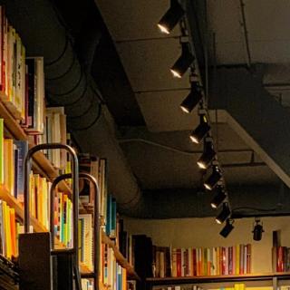 Modern White GU10 Led Commercial Track Lighting