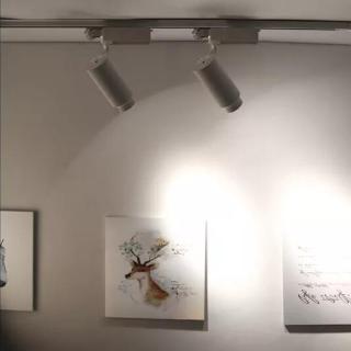 White Color Adjustable Led Industrial Track Lighting