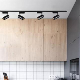 Black Adjustable Commercial Led Small Track Lighting