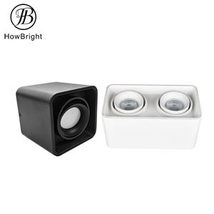 White Surface Inner Double Head Spotlight