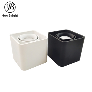 White Surface Inner Double Head Spotlight