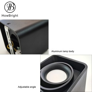 White Surface Inner Double Head Spotlight