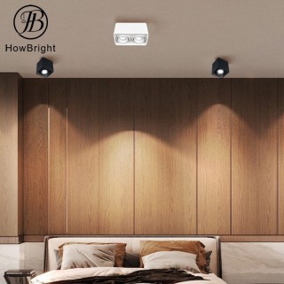 White Surface Inner Double Head Spotlight