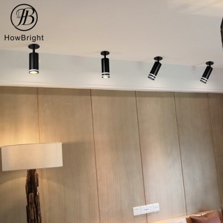 LED Single Ceiling Directional Spotlight Fixture