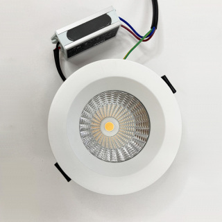 Outdoor Garden IP65 Downlight LED 20W