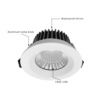 Outdoor Garden IP65 Downlight LED 20W