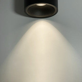 Surface Mounted COB Led Waterproof Downlight