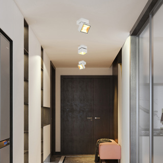 Double Commercial Mini Down Light