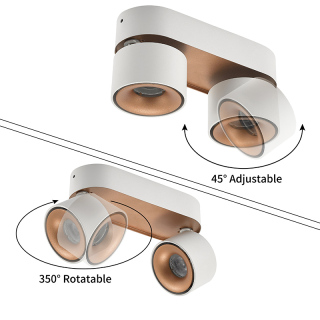 Double Commercial Mini Down Light