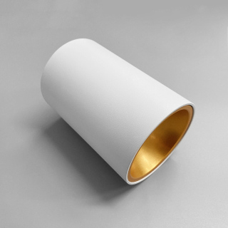 GU10-Downlight-Lampe in Gold und Mattschwarz