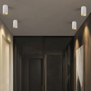 GU10-Downlight-Lampe in Gold und Mattschwarz