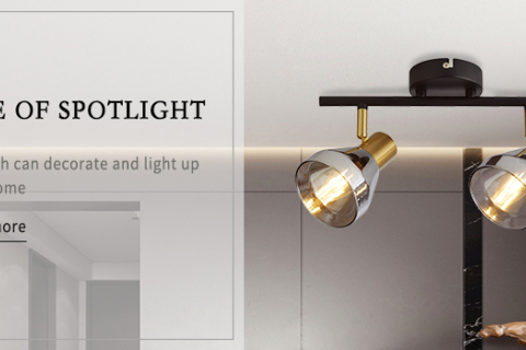 Cooperation Case of Glass Spotlight