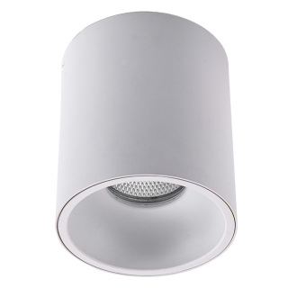 Surface Mounted COB Led Waterproof Downlight