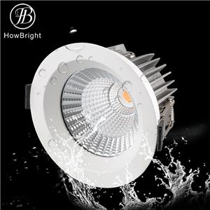 Outdoor Garden IP65 Downlight LED 20W