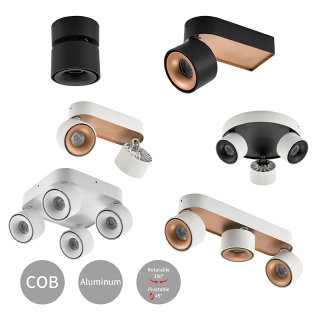 Double Commercial Mini Down Light