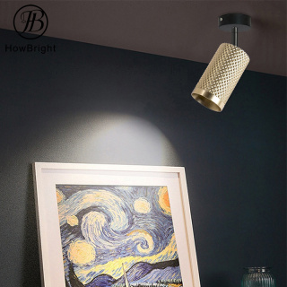 Aluminum Gu10 White Gold Indoor Ceiling Hotel Restaurant GU10 Surface Mounted Down Light