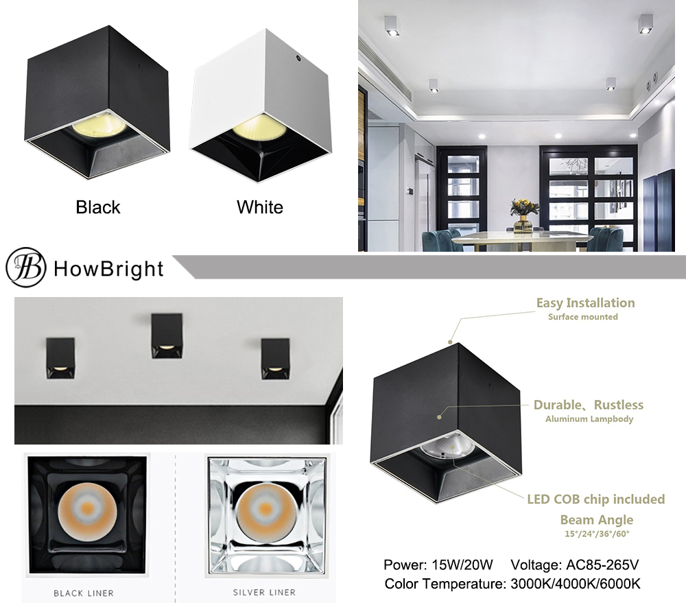 Surface Mounted Downlight