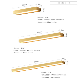 Reading lamp Decorative Indoor LED Wall Light