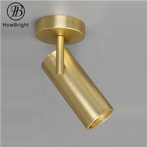 Ceiling Spotlight Adjustable Aluminum Surface Mounted Cob Ceiling lamp