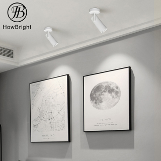 Ceiling Spotlight Adjustable Aluminum Surface Mounted Cob Ceiling lamp
