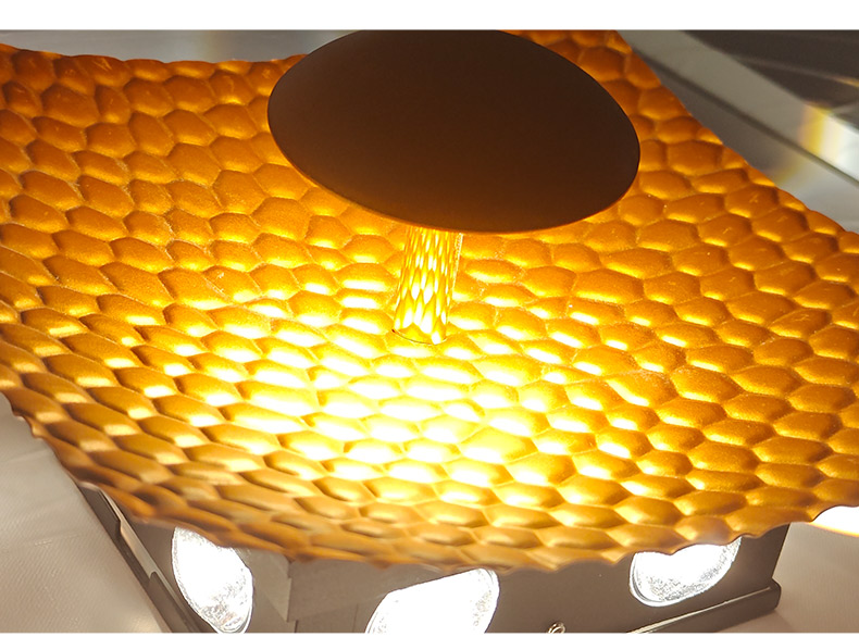 Decorative LED Wall Light