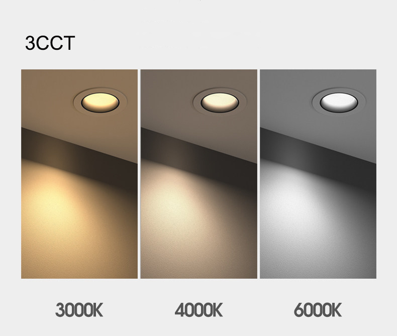 LED Ceiling Light