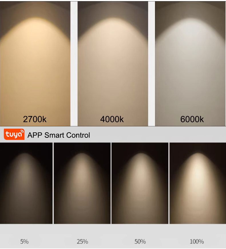 LED Recessed Downlight