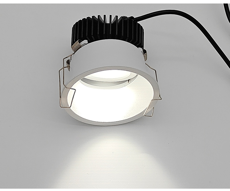 Adjustable Angle Downlight