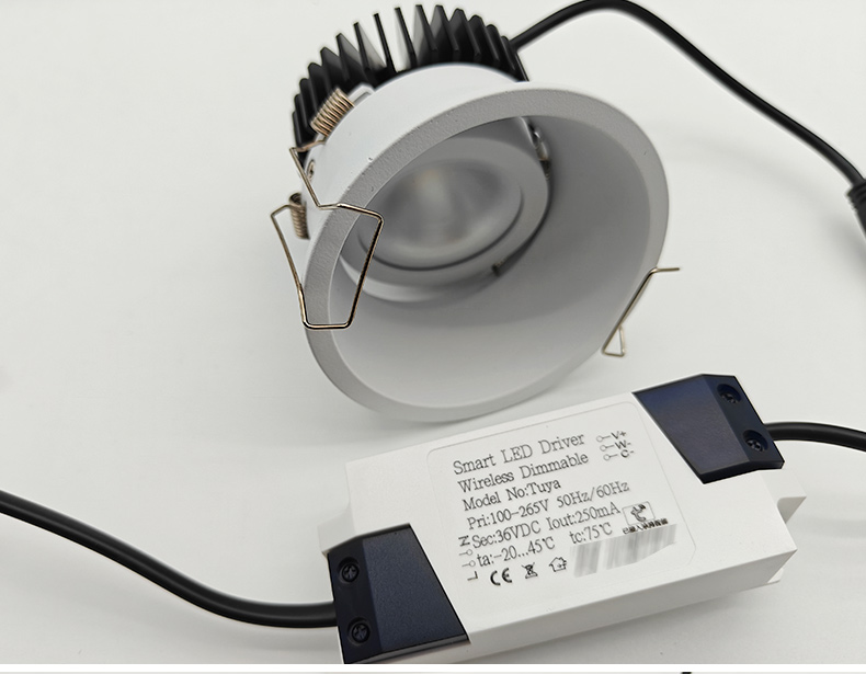 Adjustable Angle Downlight