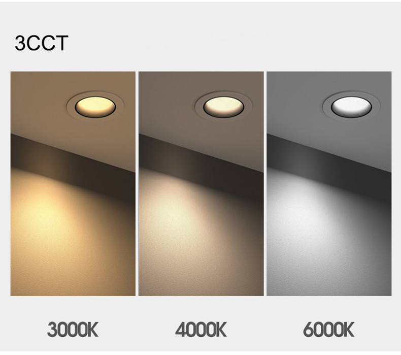 LED Recessed Light