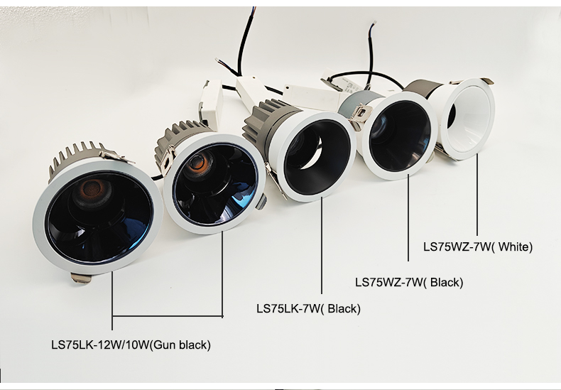 Adjustable Downlight