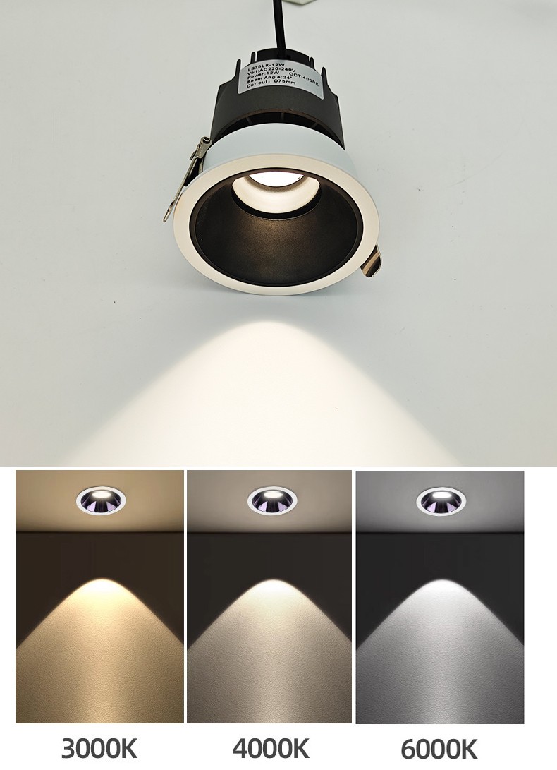 Adjustable Downlight