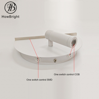Minimalist Round Dual Light Source LED Wall light