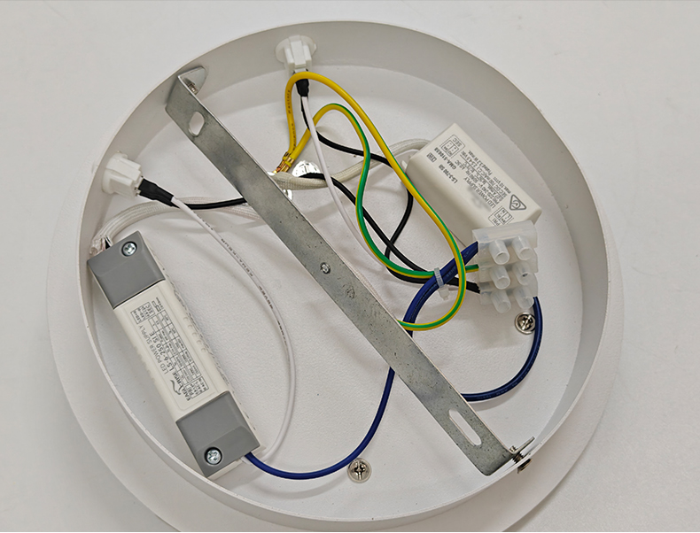 Dual Light Source LED Wall light