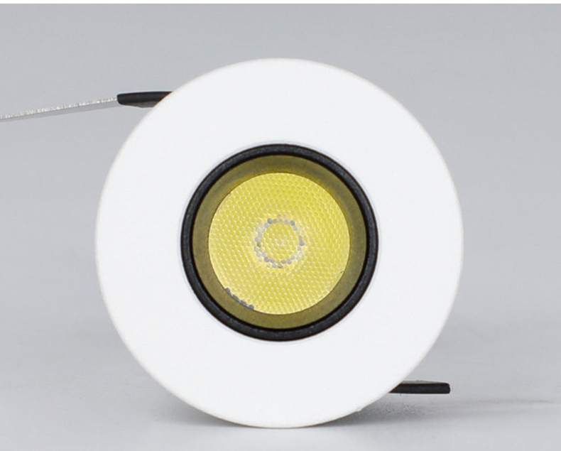 Modern LED Downlight
