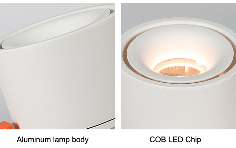 Ceiling Downlight Ceiling Downlight