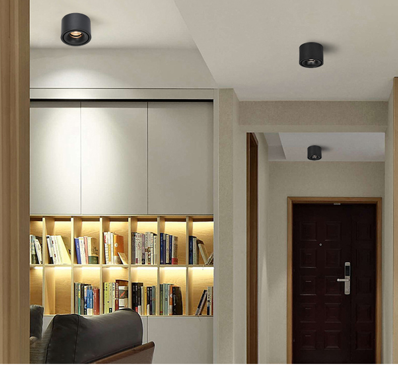 Ceiling Downlight Ceiling Downlight