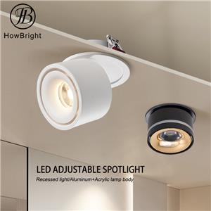 Commercial Aluminum 12W Adjustable LED Downlight